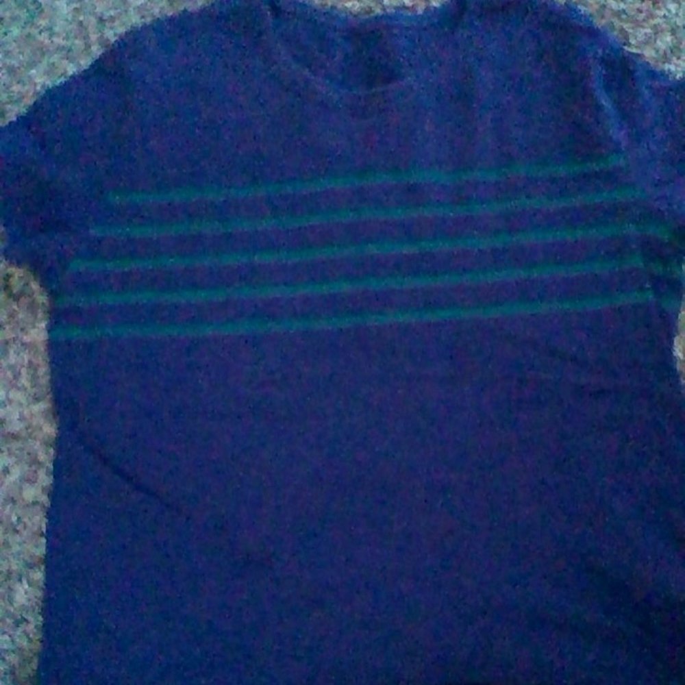 Cropped blue and green striped shirt.